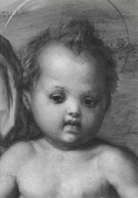 Hollow, Matthew — Andrea d'Agnolo - sec. XVI - Madonna con Bambino e san Giovannino — particolare, volto di Gesù Bambino
